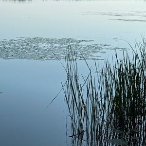 Meet your Posher, Em